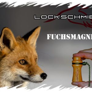 Die Lockwelt
